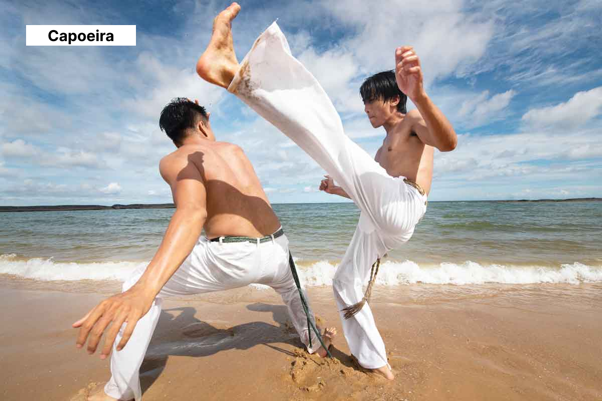 South American Martial Arts